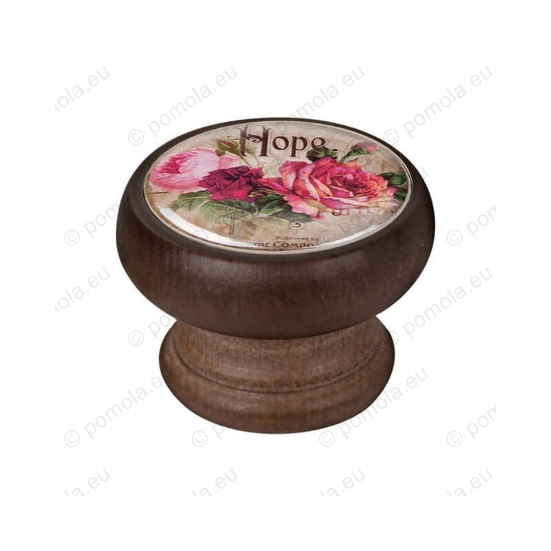 450NG31 ΠΟΜΟΛΟ VINTAGE ΒΙΝΤΑΖ HOPE ANTIQUE ΚΑΡΥΔΙΑ 450NG31 ΠΟΜΟΛΟ VINTAGE ΒΙΝΤΑΖ HOPE ANTIQUE ΚΑΡΥΔΙΑ