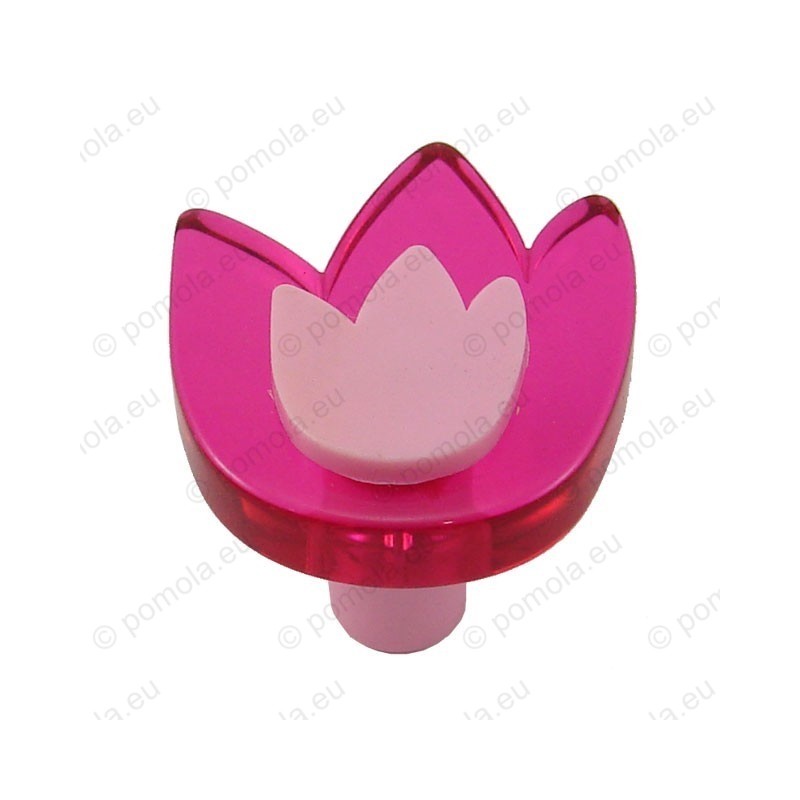 665MG ΠΟΜΟΛΑ ΠΑΙΔΙΚΑ ΧΡΩΜΑΤΙΣΤΑ ΤΟΥΛΙΠΑ