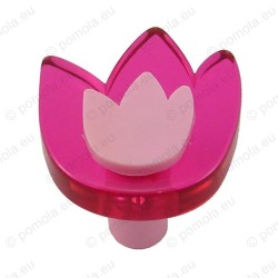 665MG ΠΟΜΟΛΑ ΠΑΙΔΙΚΑ ΧΡΩΜΑΤΙΣΤΑ ΤΟΥΛΙΠΑ