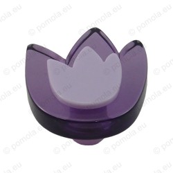 665MO ΠΟΜΟΛΑ ΠΑΙΔΙΚΑ ΧΡΩΜΑΤΙΣΤΑ ΤΟΥΛΙΠΑ