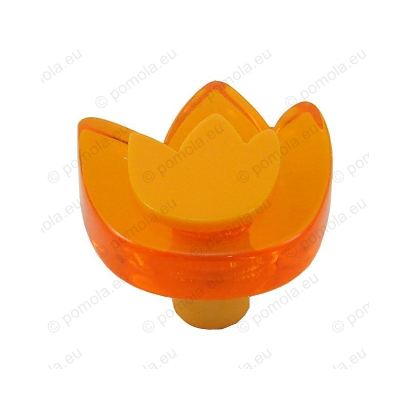 665NA ΠΟΜΟΛΑ ΠΑΙΔΙΚΑ ΧΡΩΜΑΤΙΣΤΑ ΤΟΥΛΙΠΑ